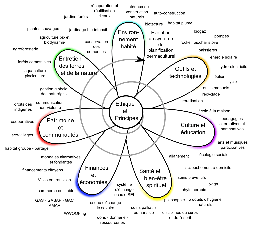 Fleur des champs d'application de la permaculture et d'exemples