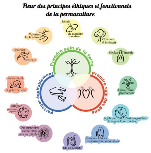 Fleur des principes ethiques et fonctionnels de la permaculture
